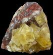 Lustrous, Yellow Cubic Fluorite Crystals - Morocco #44886-2